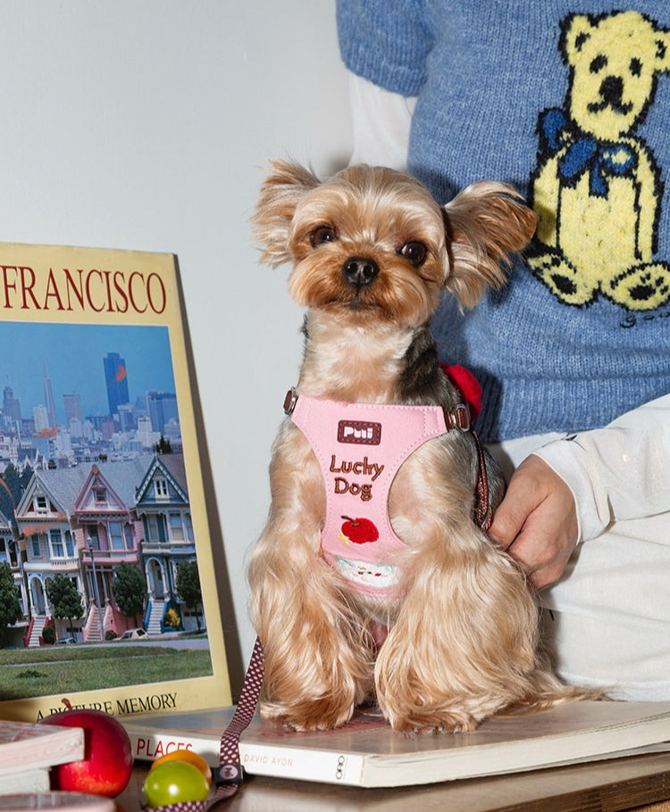 Cartoon Embroidered Dog Harness