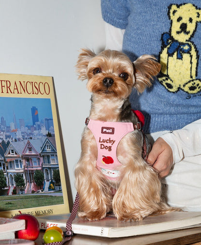Cartoon Embroidered Dog Harness