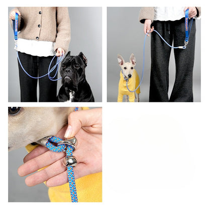Braided Training Leash for Dogs – Multi