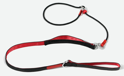Dual Handle Training Dog Leash
