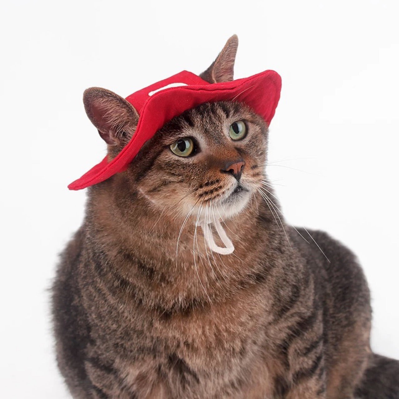Embroidered Cotton Dog Hat