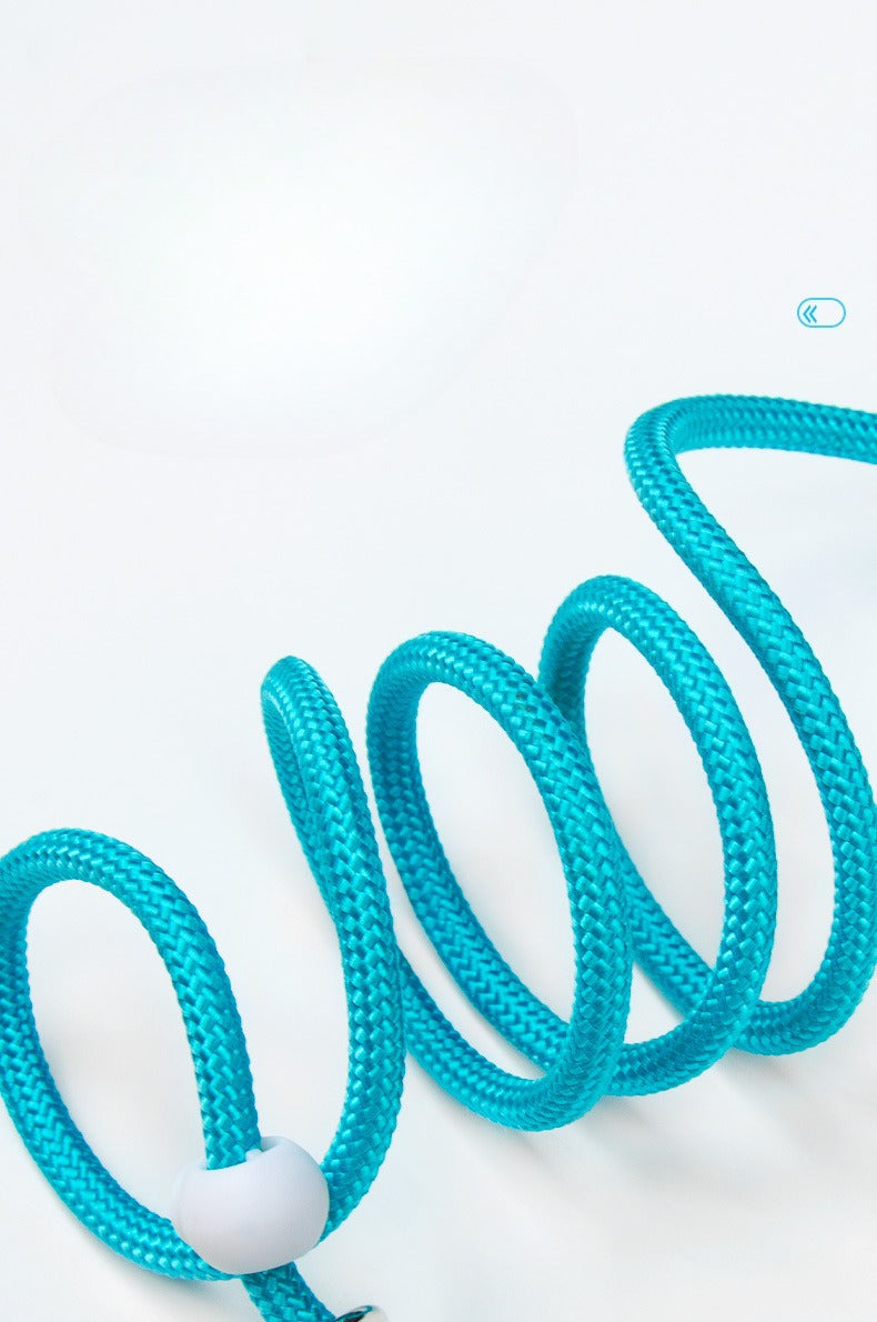 Adjustable Slip Lead Dog Leash