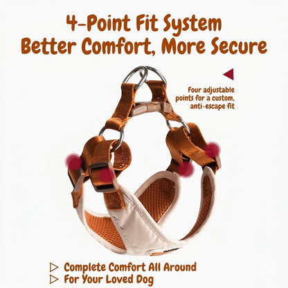 Breathable Mesh Harness & Leash Set
