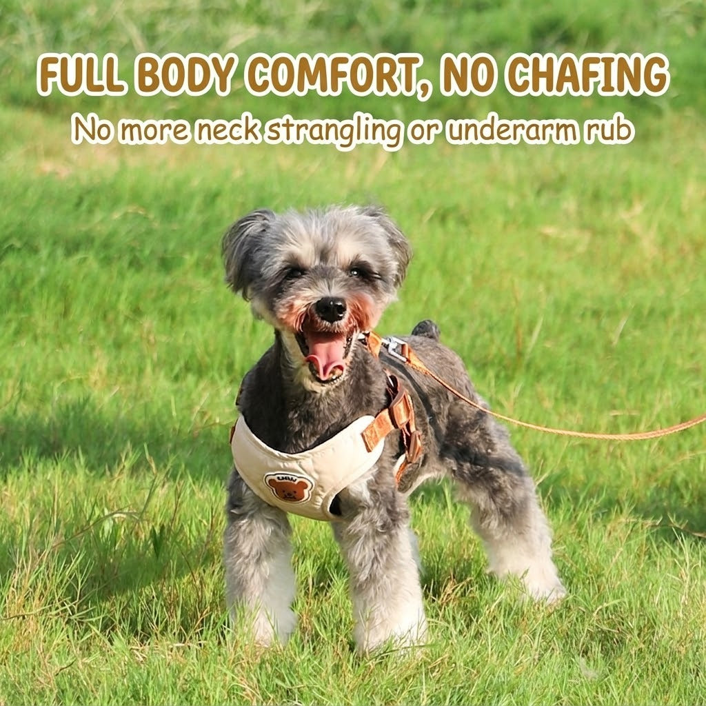 Breathable Mesh Harness & Leash Set