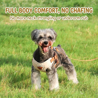 Breathable Mesh Harness & Leash Set