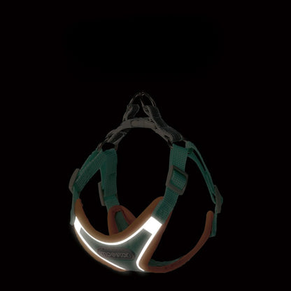 Adjustable Mesh Dog Harness for Dogs – Green