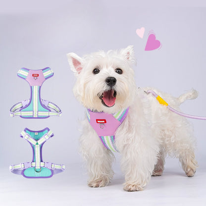 Breathable Mesh Harness & Leash Set