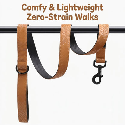 Snake Pattern Collar & Leash Set