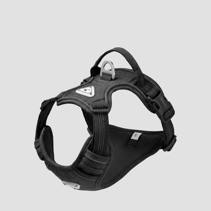 Reflective Adjustable Harness & Leash Set