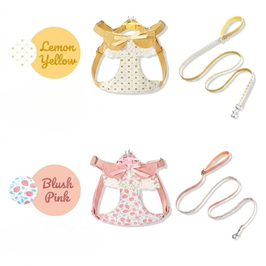 Polka Dot Harness & Leash Set