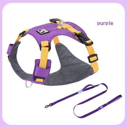Lightweight Harness & Leash Set