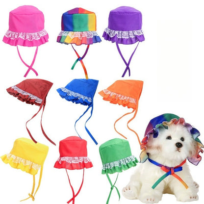 Lace Trim Dog Hat