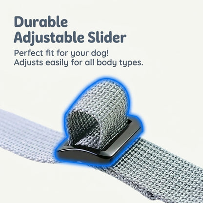 Denim Bandana Harness & Leash Set