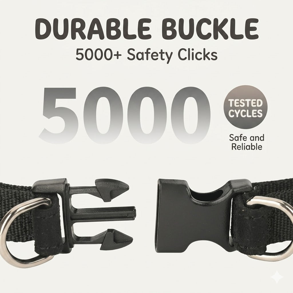 Crinkled Heart Harness & Leash Set – Black