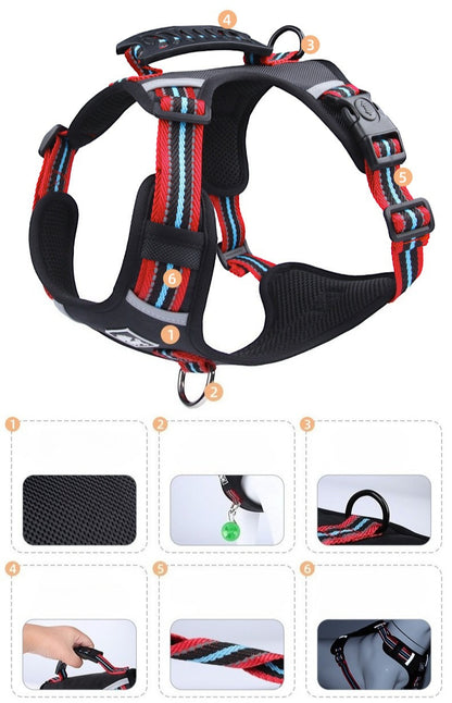 Reflective Harness & Leash Set