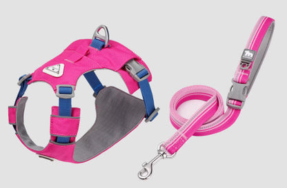 Lightweight Breathable Harness & Leash Set