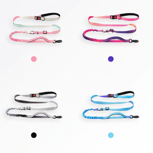 Gradient Elastic Dog Leash