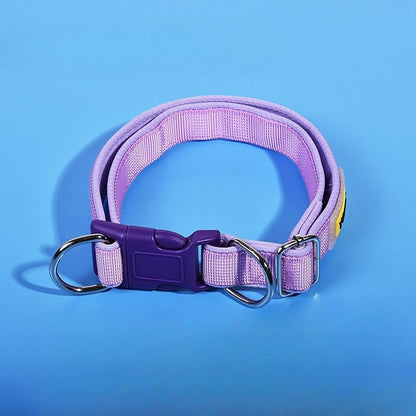 Padded Solid Dog Collar for Dogs – Pink