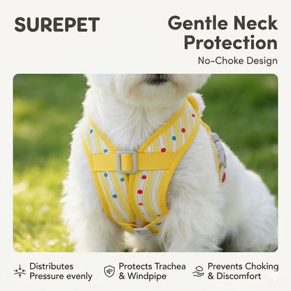 Ruffle Backpack Harness & Leash Set