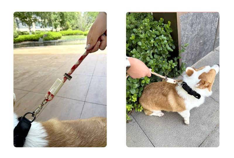 Braided Crossbody Leash for Dogs – Multi