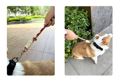 Braided Crossbody Leash for Dogs – Multi