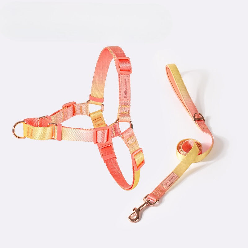 Gradient Harness & Leash Set