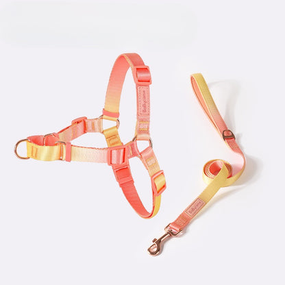 Gradient Harness & Leash Set