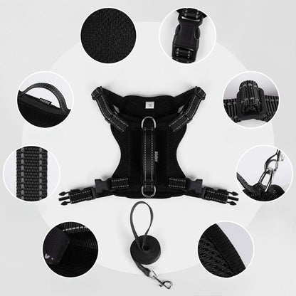 Reflective Mesh Harness & Leash Set