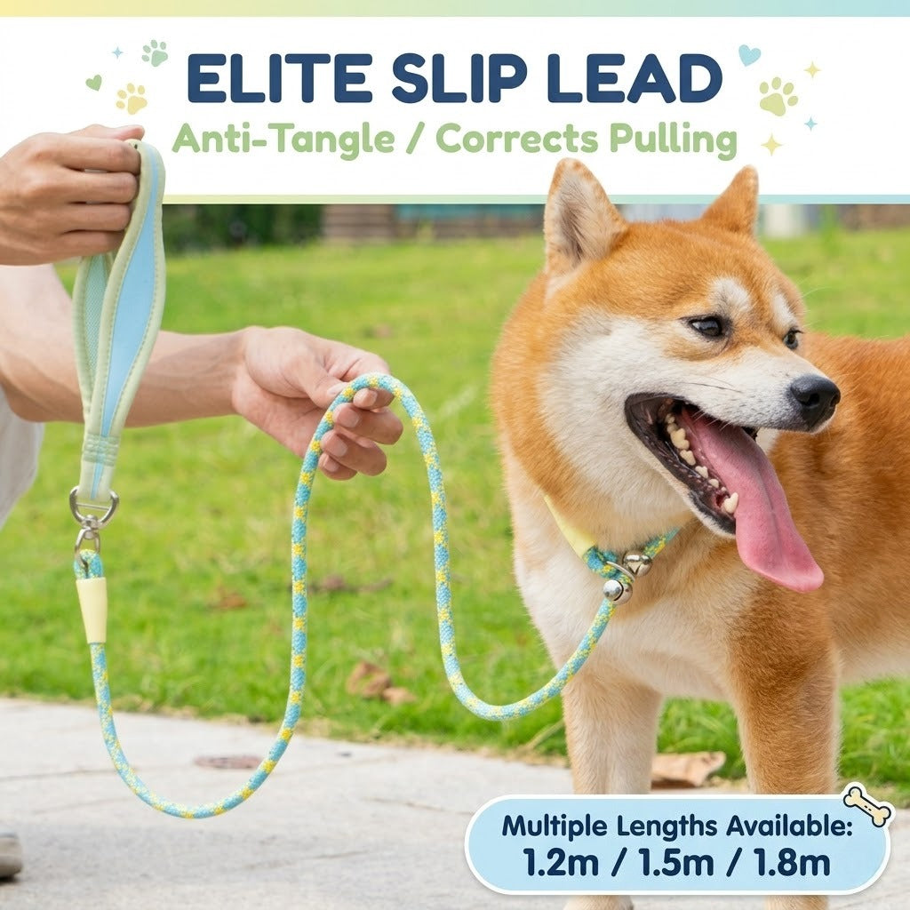 Integrated Anti-Pull Reflective Dog Leash