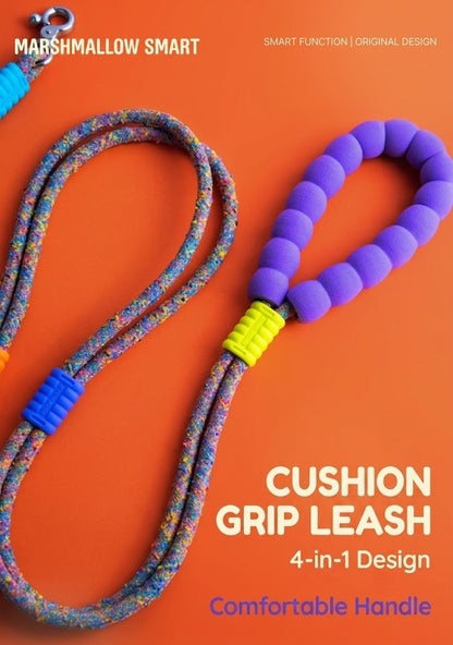 Multi-Way Braided Dog Leash – Rainbow