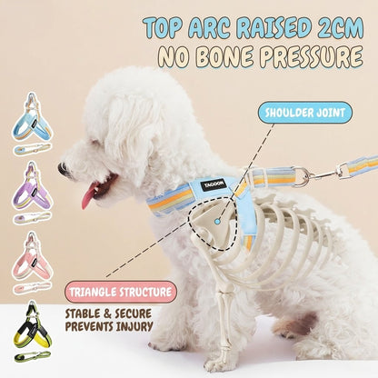 Rainbow V-Shaped Harness & Leash Set