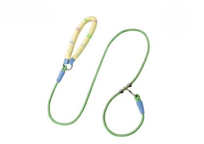 Braided Rope Dog Leash