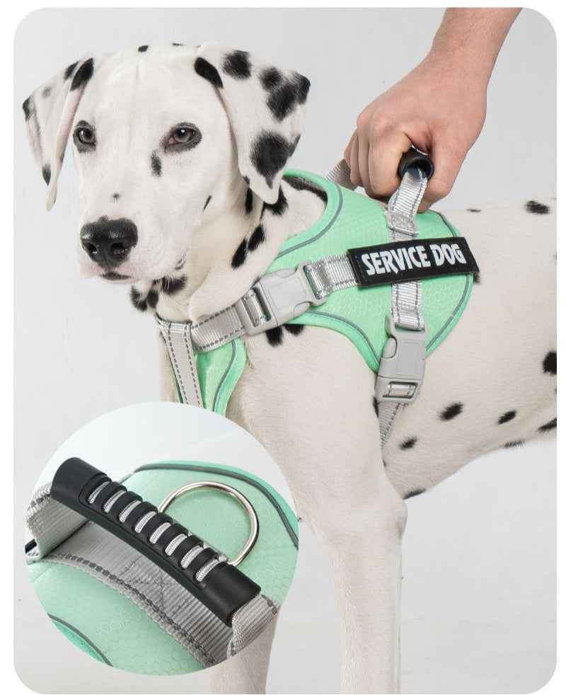 Reflective Harness & Leash Set