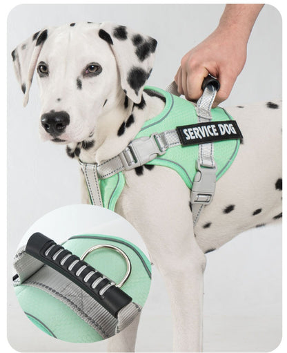 Reflective Harness & Leash Set