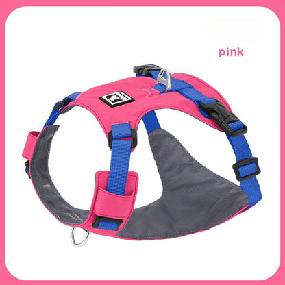 Lightweight Harness & Leash Set