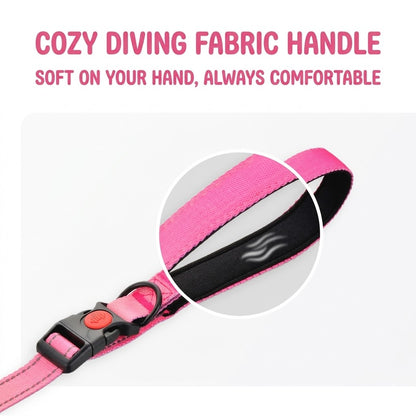 Gradient Elastic Dog Leash