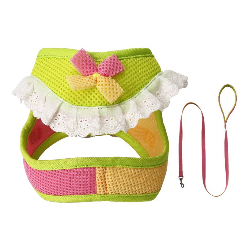Lace Mesh Harness & Leash Set