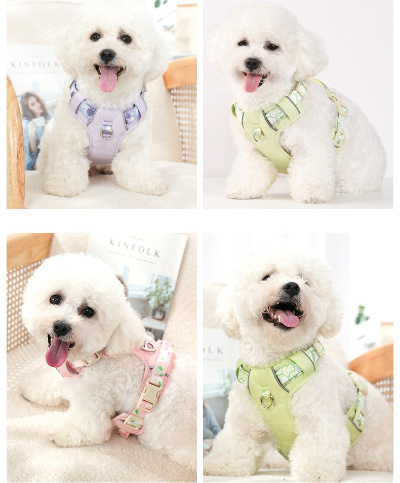 Floral Harness & Leash Set