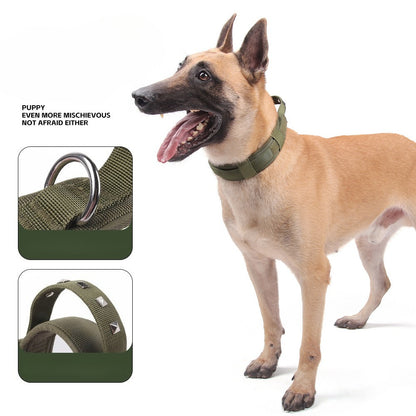 Tactical Rivet Dog Collar