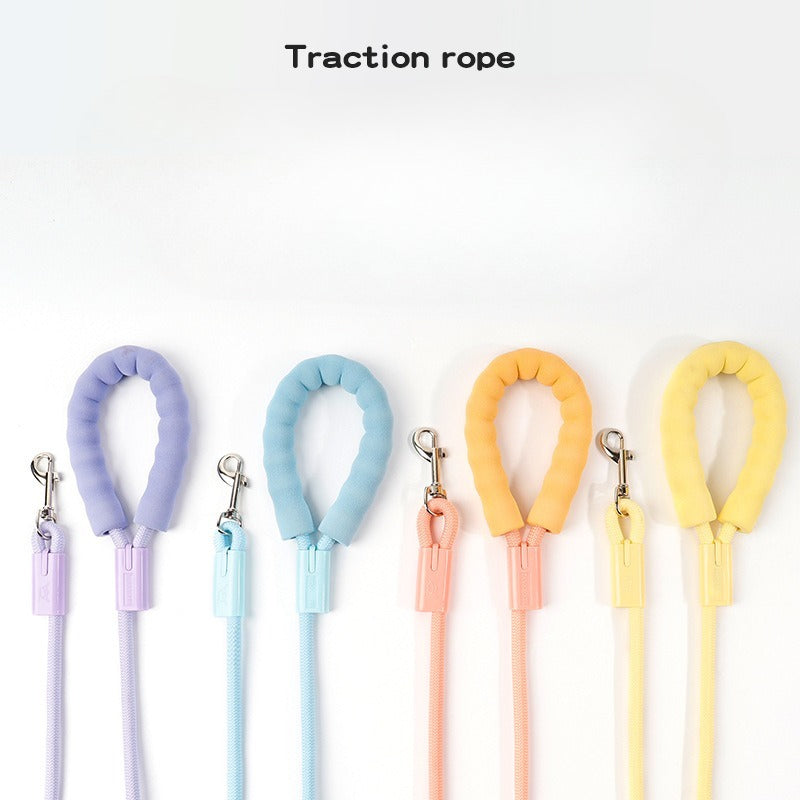 Braided Nylon Dog Leash for Dogs – Multi