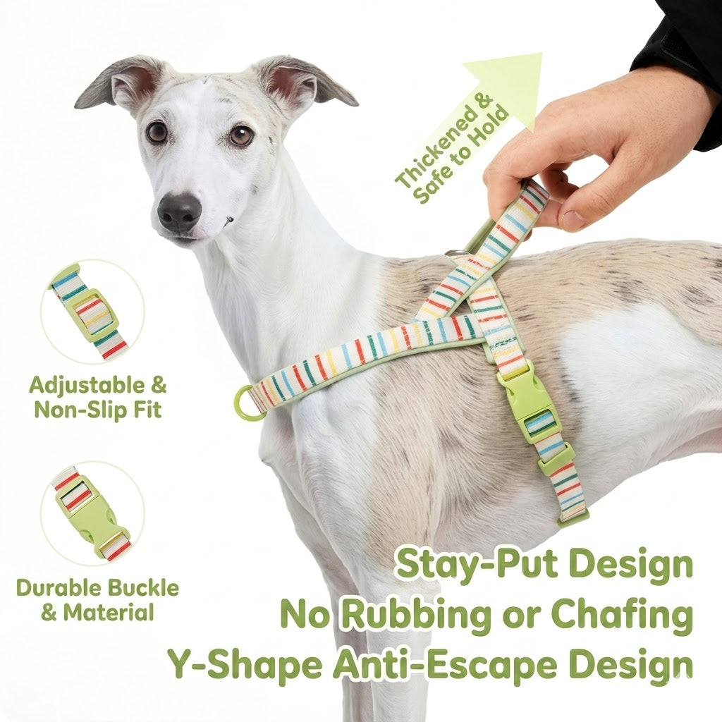 Patterned Harness & Leash Set