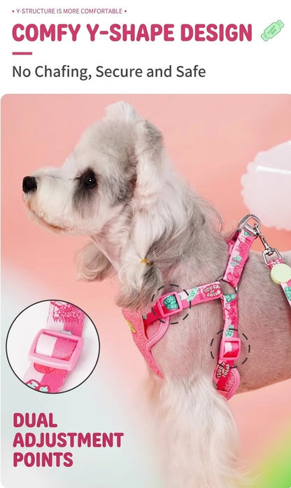Sugar Series Harness & Leash Set