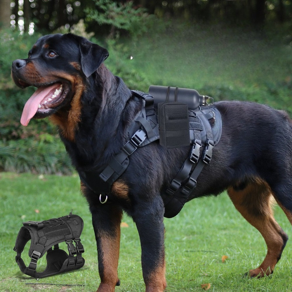 Tactical Dog Harness, Leash & Pouch Set