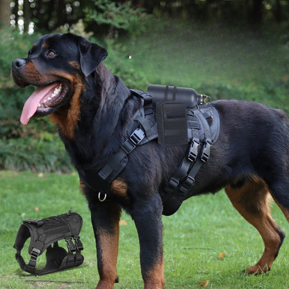 Tactical Dog Harness, Leash & Pouch Set