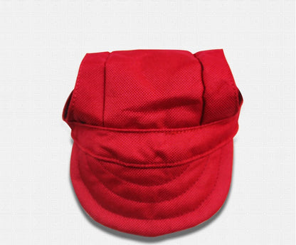 Baseball Dog Hat for Dogs – Blue