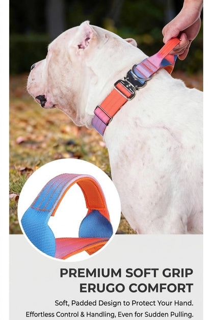 Gradient Tactical Collar & Leash Set