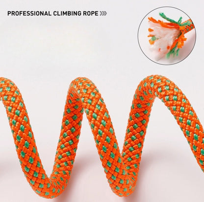 Professional Climbing Rope Slip Dog Leash