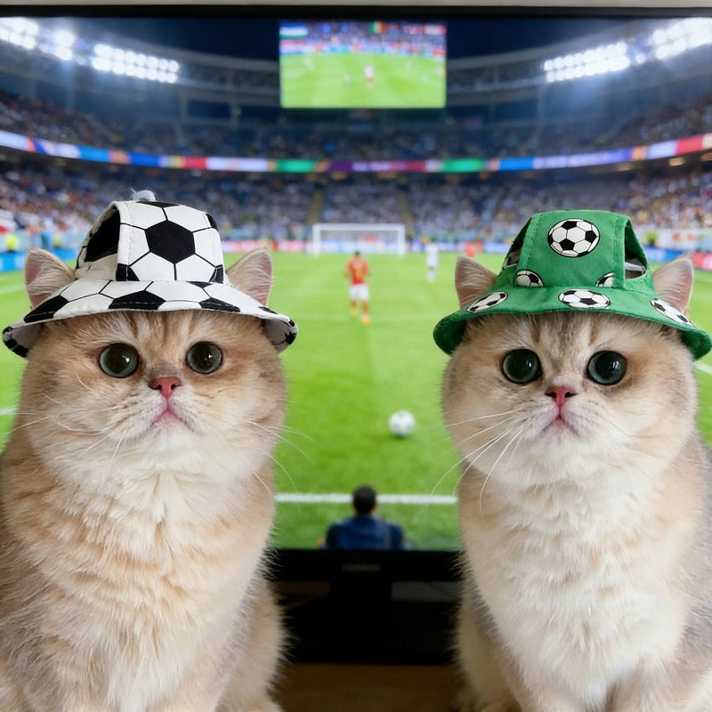 Soccer Pattern Dog Hat