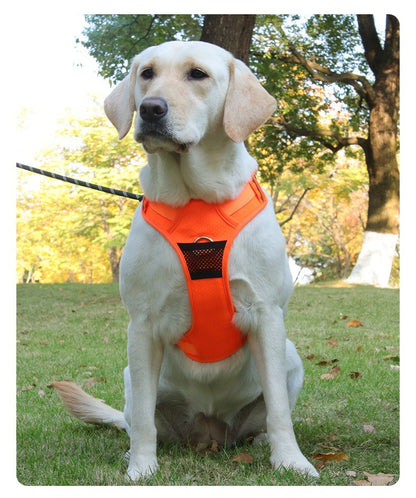Reflective Mesh Dog Harness