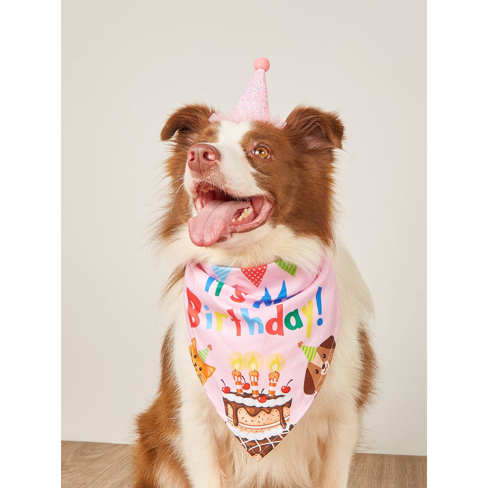 Birthday Bandana & Hat Set